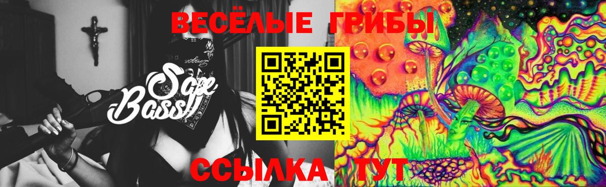 Псилоцибиновые грибы прущие грибы Ачинск
